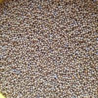 Mustar boabe roada 2015 oferta Cereale & plante tehnice